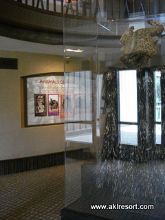 Hallway display